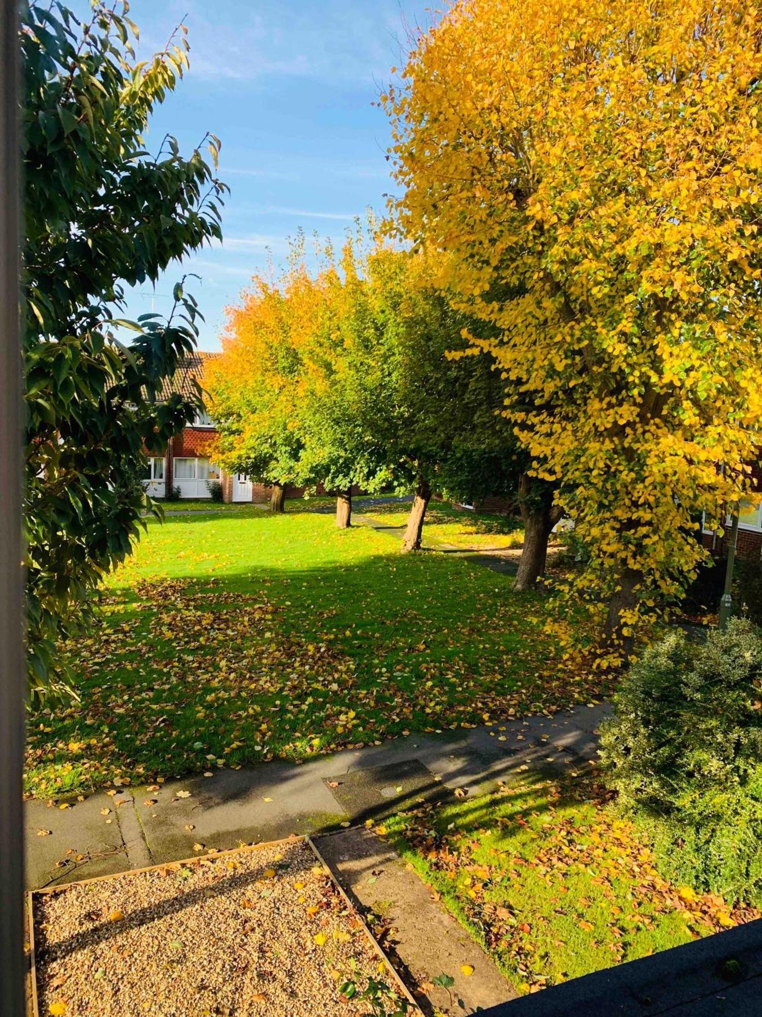 Spacious House, Free Parking & Patio Garden Farnham  Eksteriør bilde